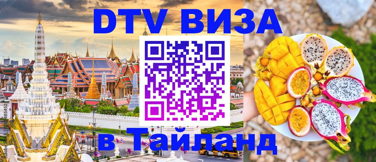 Оформление DTV визы под ключ: стоимость и тарифы, только загранпаспорт - 
